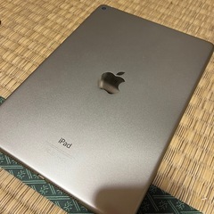 iPad Ari2の画像