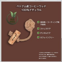 天然星犬用おもちゃ コーヒーウッド XL ペット　メンタルケア　ストレス解消の画像