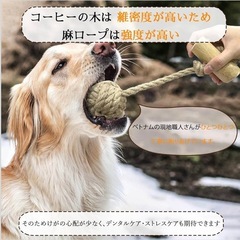 天然星犬用おもちゃ コーヒーウッド XL ペット　メンタルケア　ストレス解消の画像