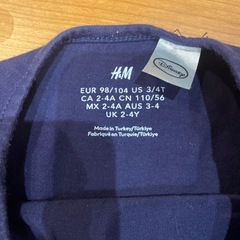 98/104 H&M エルサワンピースの画像