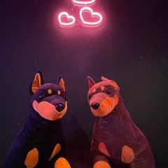 ⭐︎店舗内装　住宅内装　正社員募集⭐︎30万〜の画像