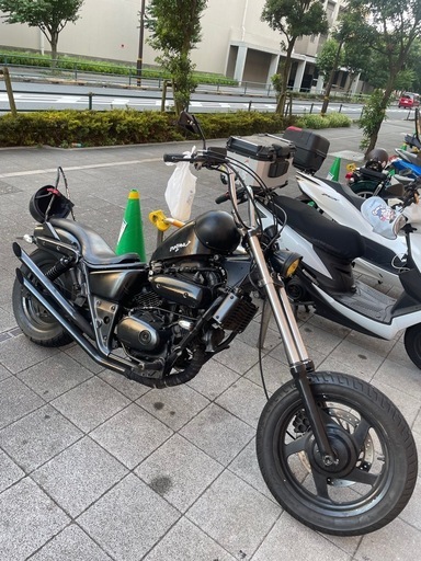 マグナ250
