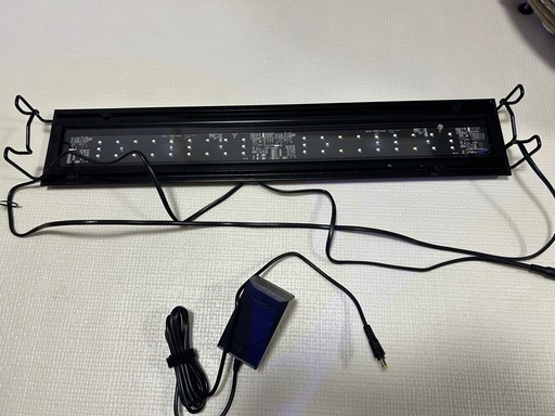 サンゴ　海水魚　照明　グラッシー　wing2