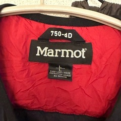 MARMOT インナーダウン レディース L 黒の画像