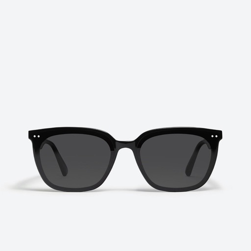Gentle Monster Heizer 01 サングラス 正規品 新品