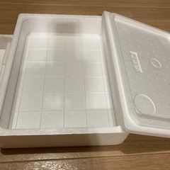 無料❗️発泡スチロール箱キャンプBBQアウトドア
の画像
