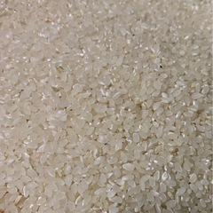 減農薬で栽培！令和7年度産あきたこまち玄米30キロ の画像