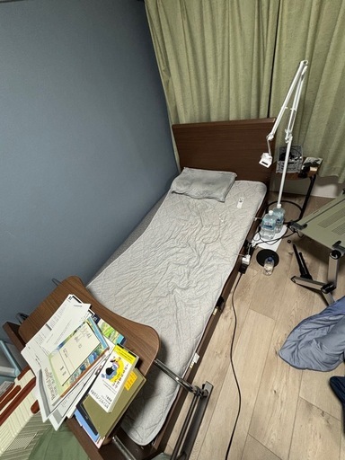 ニトリ 電動ベッド シングル + 専用マットレス