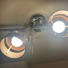 証明の画像