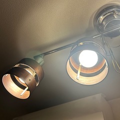 証明の画像