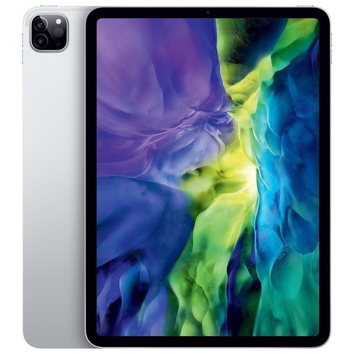 ? iPad Pro 11-inch (2nd Generation) – 256GB | Wi-Fi + Cellular | Ex