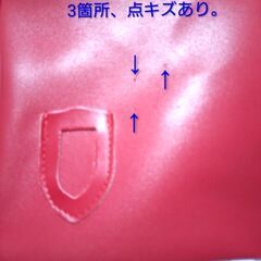 円龍幼稚園　女の子　通園カバン　上靴入れの画像