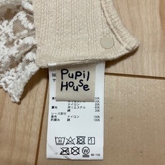 レースつきスタイの画像