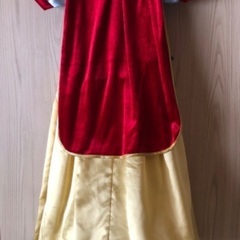 used 白雪姫 スノーホワイト 120 ドレス プリンセス 姫 ディズニー 衣装 ワンピース 110 130 ディズニーストアの画像