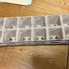 DAIM 種まきハウス 9穴トレー 2個付 他おまけの画像