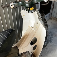 スーパーカブ12v C50車庫保管 の画像
