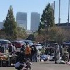 柏の葉公園　11月15土)