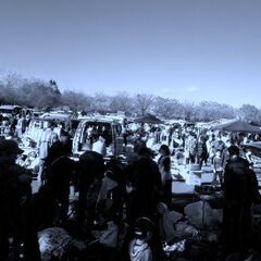 川越水上公園　12月29(月) ミルクの会