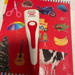はじめてずかん1000の画像