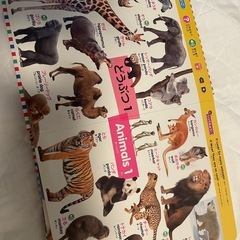 はじめてずかん1000の画像