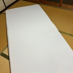 トゥルースリーパーの画像