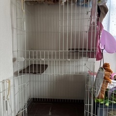 猫ゲージの画像