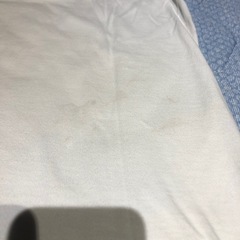 GREGORY グレゴリーロゴ Tシャツ Mサイズ ホワイトオーガニック綿の画像