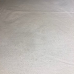 GREGORY グレゴリーロゴ Tシャツ Mサイズ ホワイトオーガニック綿の画像