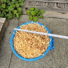 天然青森ヒバカンナチップの画像