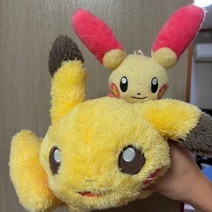 ポケモンぬいぐるみ
の画像