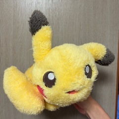ポケモンぬいぐるみ
の画像