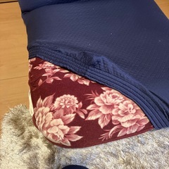 座椅子2つセットの画像