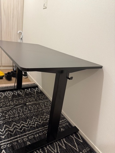 FlexiSpot 電動昇降デスク 120×60cm（5ヶ月使用・動作良好）