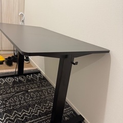 FlexiSpot 電動昇降デスク 120×60cm（5ヶ月使用・動作良好）の画像