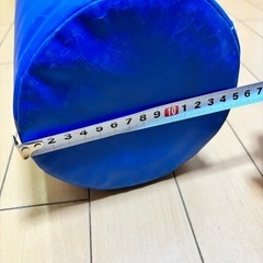 ストレッチポールの画像
