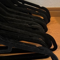 コストコ　ハンガー　30本の画像