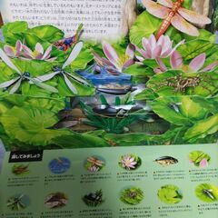 しかけ図鑑　絵本の画像