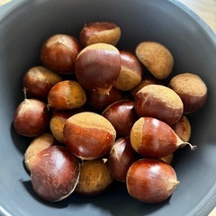 茨城県産栗　1キロ　大きめです！の画像