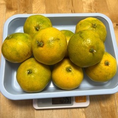 みかん🍊　2kg　　の画像