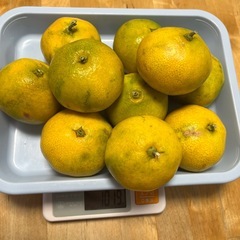 みかん🍊　2kg　　の画像