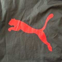 プーマ　PUMA ジャンパー　150cmの画像