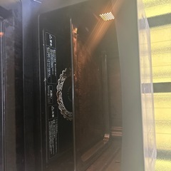 電子レンジ2013の画像