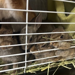 【4匹 お話中】