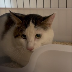 まんまる○ まる君男の子☆