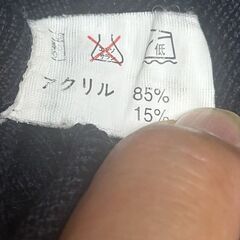 CIPER　EURU　薄手セーター　サイズ：L　①の画像