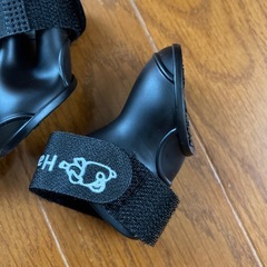 犬　猫靴👞の画像