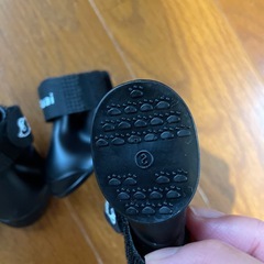 犬　猫靴👞の画像