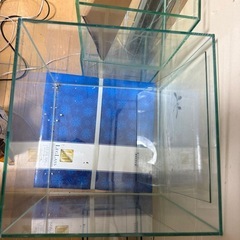 中古、【決定】
コトブキ30センチキューブ 　の画像