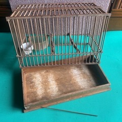 鳥籠　竹製鳥かご　19.0×35.7×22.5cm 　餌箱・茶碗付きの画像
