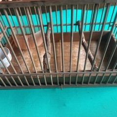 鳥籠　竹製鳥かご　19.0×35.7×22.5cm 　餌箱・茶碗付きの画像